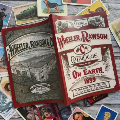 Libros de Colección RDR II