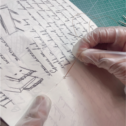 Libros de Colección RDR II